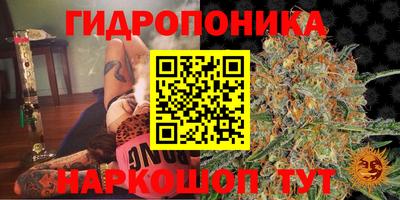 соль ск Балахна