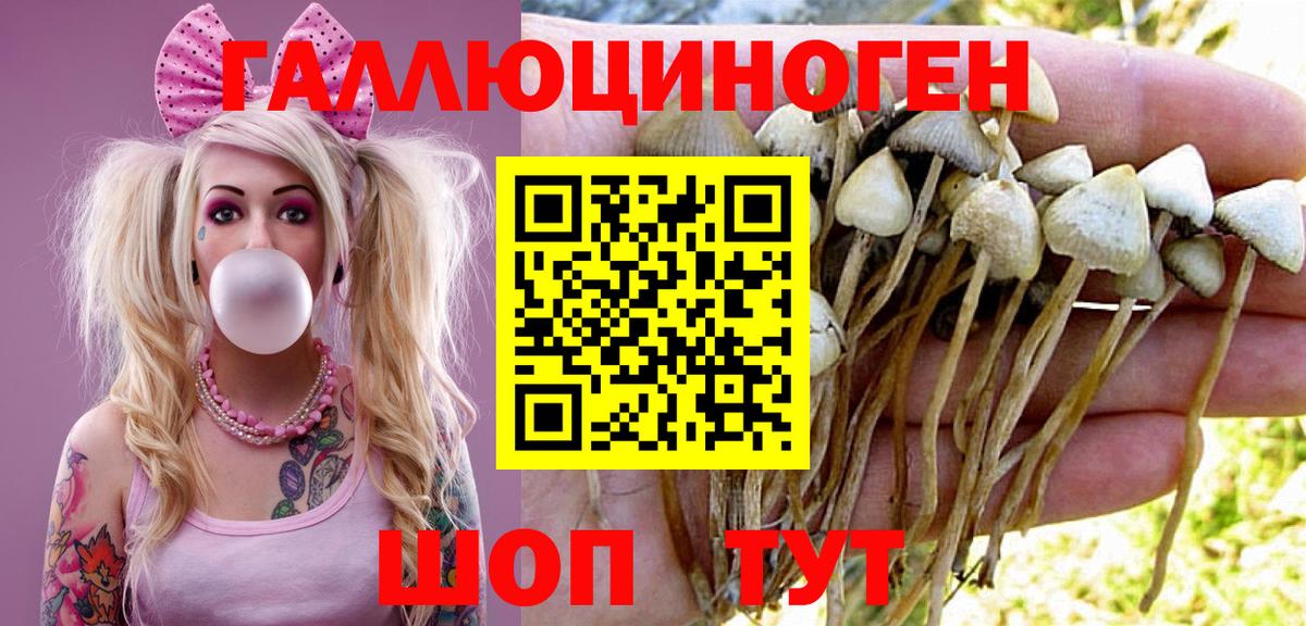 Гусев  Галлюциногенные грибы ЛСД  Вход с VPN 