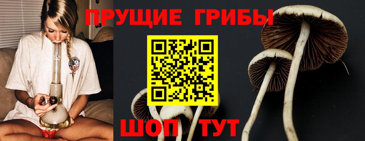 Псилоцибиновые грибы мицелий Гусев
